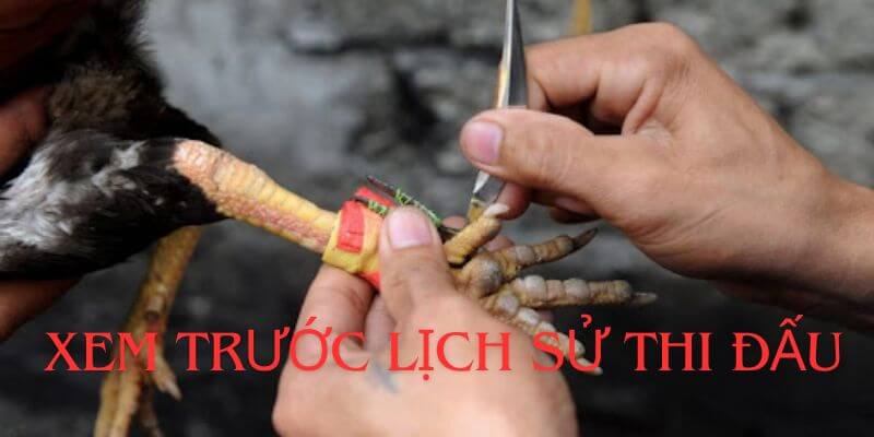 Xem trước lịch sử thi đấu của đối thủ